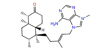 Nemoechine F